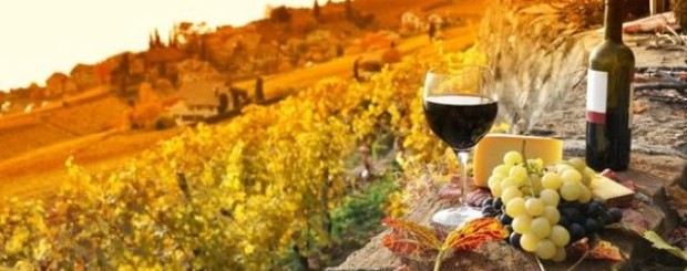 chianti wine tour