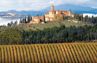 Brunello winery