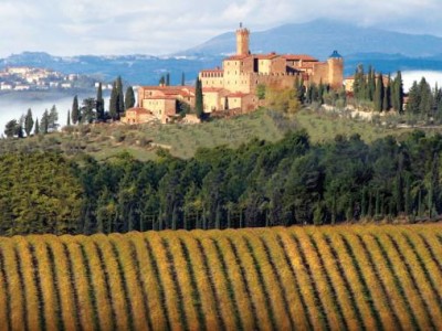 Brunello winery