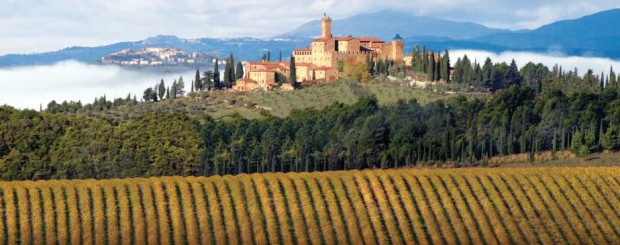 Brunello winery