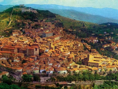 cortona